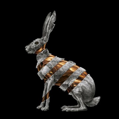 San Fermin-Jackrabbit Vinyl / 12