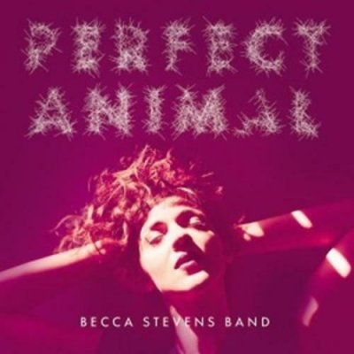 Becca Stevens Band ‎– Perfect Animal CD 2015 NEU SEALED