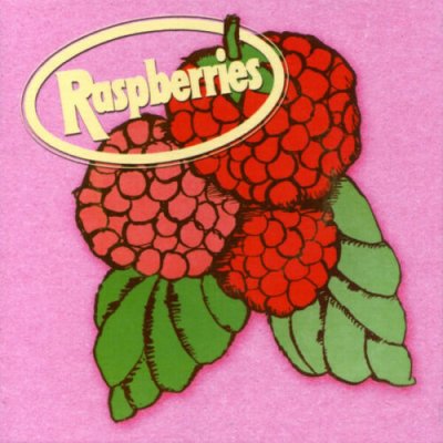 Raspberries ‎– Classic Album Set 4xCD NEU SEALED 2015 Compilation