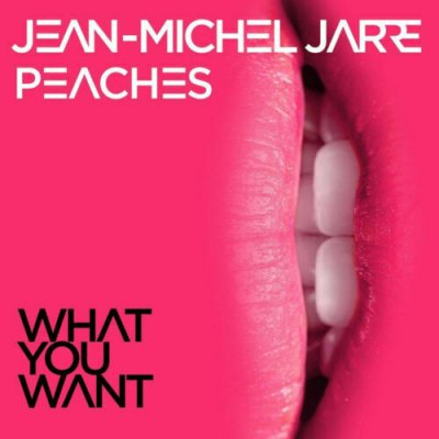 Jean-Michel Jarre, Peaches ‎– What You Want Vinyl 7