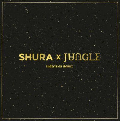 Shura X Jungle ‎– Indecision (Remix) Vinyl Single Limited Edition 2015