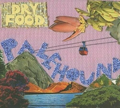 Palehound - Dry Food CD NEU OVP 2016