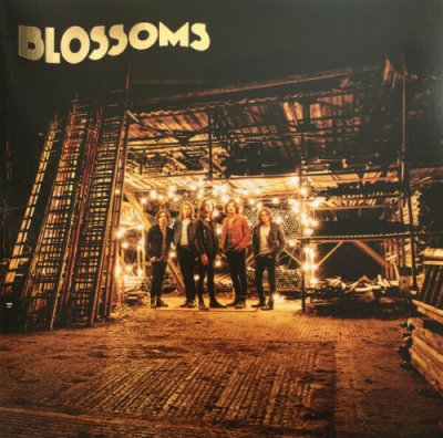 Blossoms ‎– Blossoms Vinyl LP NEU SEALED Virgin 2016