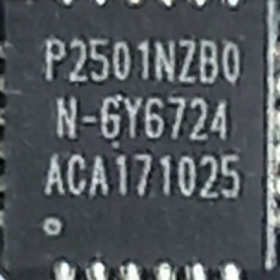 Chipset P2501NZB0