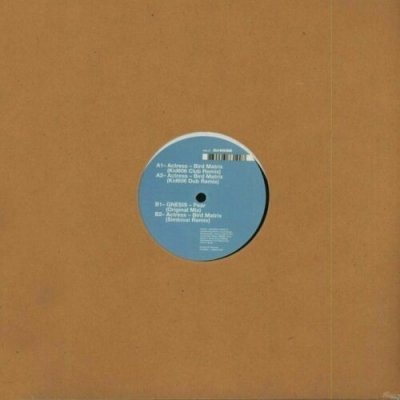 Actress - Bird Matrix Remixes Vinyl 12