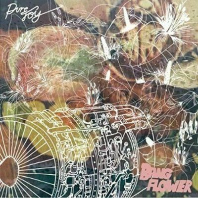 Pure Joy - Bang Flower CD Digi 2016 NEU